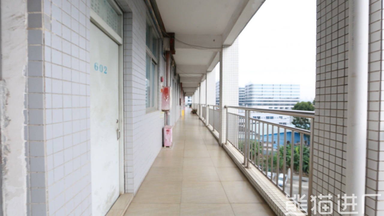 广东海新智能厨房股份有限公司总览图12