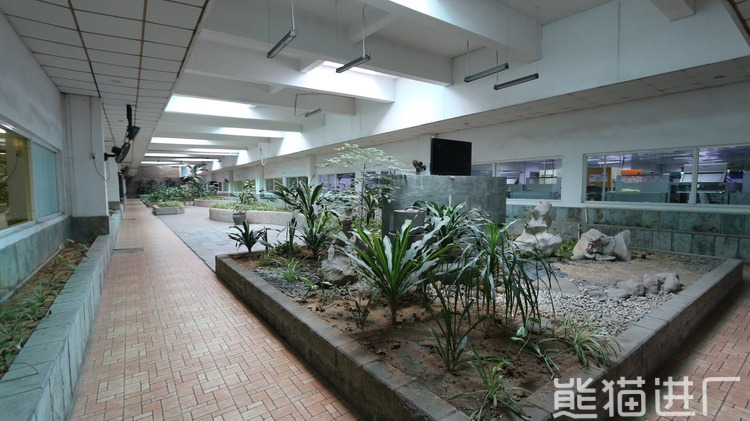 东莞联桥电子有限公司总览图11