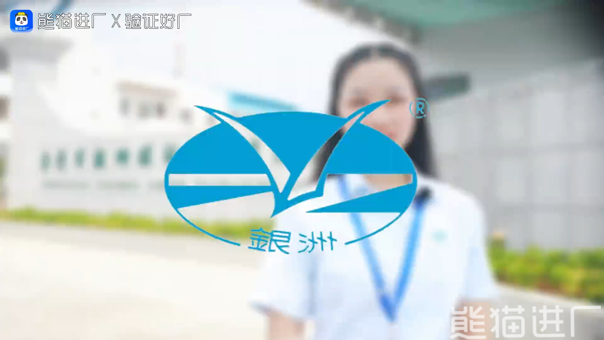 东莞市银洲环保包装有限公司总览探厂视频1