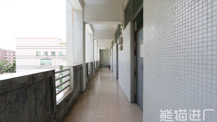 东莞市溢信高电子科技有限公司住宿环境图1
