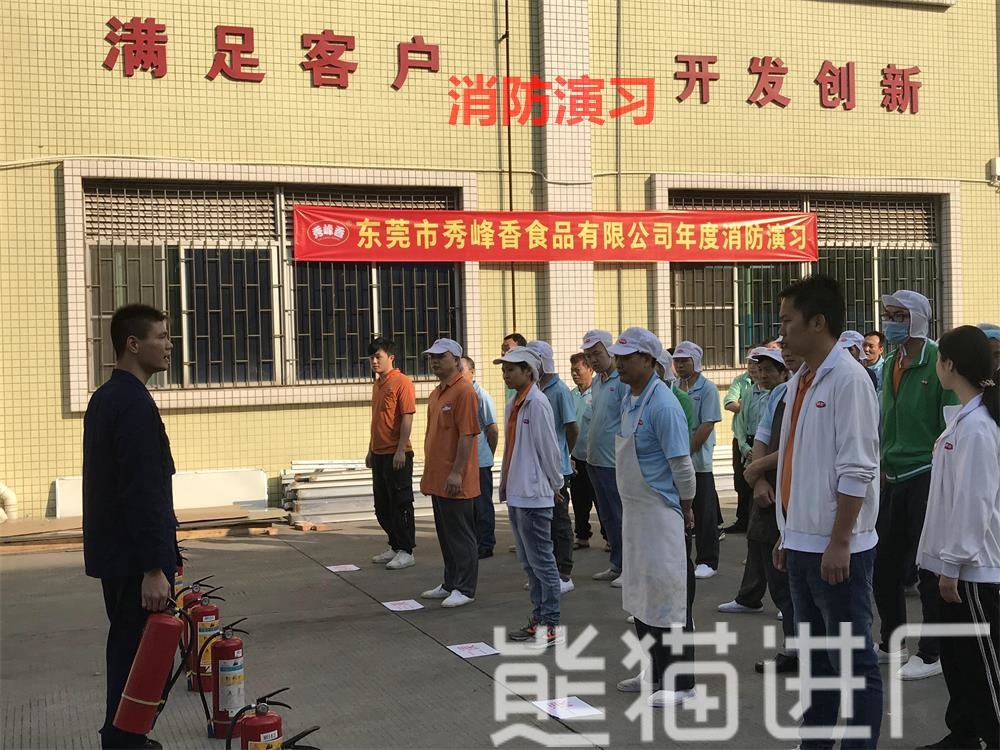 男女普工包装工招工工厂总览图11