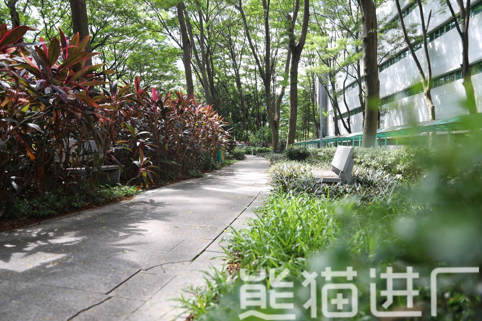 东莞东聚电子电讯制品有限公司生活配套图9