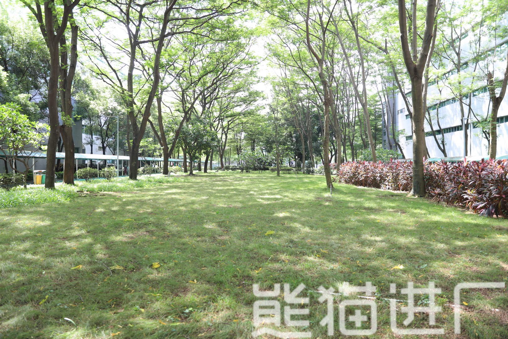 东莞东聚电子电讯制品有限公司企业周边图2
