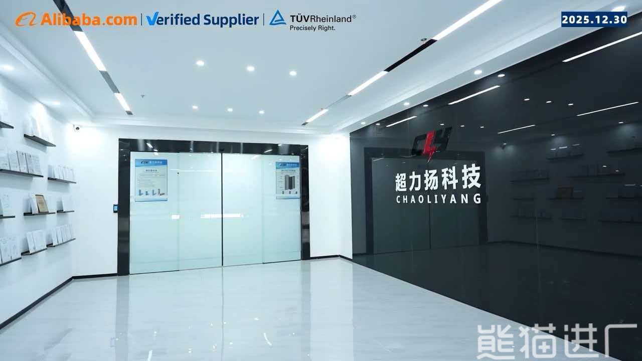 深圳市超力扬科技发展有限公司东莞分公司总览图1