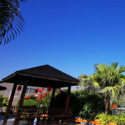 金镁智高科技logo